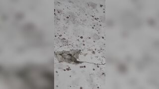  Consolidăm, cu fonduri din PNRR