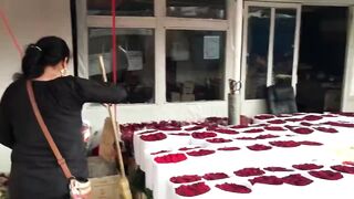 Piata de flori 2 - crizantema nu costă 300 de ron