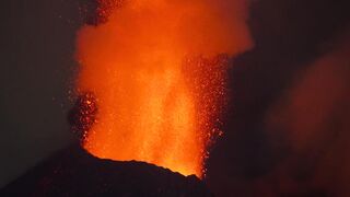 Life.on.Our.Planet.S01E01.Chapter.1.The.Rules.of.Life.1080p.NF.WEB-DL.DD+5.1.Atmos.H.264-playWEB