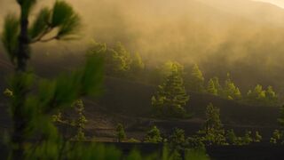 Life.on.Our.Planet.S01E03.Chapter.3.Invaders.of.the.Land.1080p.NF.WEB-DL.DD+5.1.Atmos.H.264-playWEB