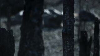 Life.on.Our.Planet.S01E06.Chapter.6.Out.of.the.Ashes.1080p.NF.WEB-DL.DD+5.1.Atmos.H.264-playWEB