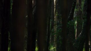 Life.on.Our.Planet.S01E07.Chapter.7.Inheriting.the.Earth.1080p.NF.WEB-DL.DD+5.1.Atmos.H.264-playWEB