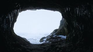 Life.on.Our.Planet.S01E08.Chapter.8.Age.of.Ice.and.Fire.1080p.NF.WEB-DL.DD+5.1.Atmos.H.264-playWEB