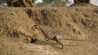 Prehistoric.Planet.2022.S02E01.Islands.1080p.ATVP.WEB-DL.DDP5.1.H.264-NTb