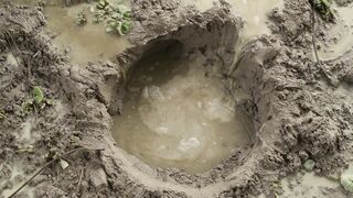 Prehistoric.Planet.2022.S02E03.Swamps.1080p.ATVP.WEB-DL.DDP5.1.H.264-NTb