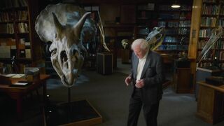 Prehistoric.Planet.2022.S02E05.North.America.1080p.ATVP.WEB-DL.DDP5.1.H.264-NTb
