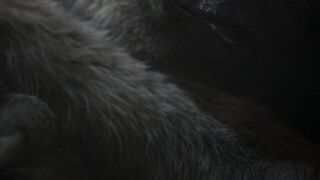 Prehistoric.Planet.2022.S03E03.Desert.Lands.1080p.ATVP.WEB-DL.DDP5.1.Atmos.H.264-playWEB