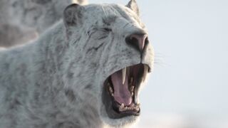 Prehistoric.Planet.2022.S03E05.The.Big.Melt.1080p.ATVP.WEB-DL.DDP5.1.Atmos.H.264-playWEB