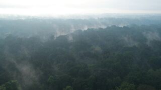 Prehistoric.Planet.2022.S03E05.The.Big.Melt.1080p.ATVP.WEB-DL.DDP5.1.Atmos.H.264-playWEB