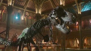 Prehistoric.Planet.S01E02.Deserts.1080p.ATVP.WEB-DL.DDP5.1.Atmos.H.264-playWEB