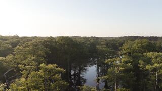 Prehistoric.Planet.S01E03.Freshwater.1080p.ATVP.WEB-DL.DDP5.1.Atmos.H.264-playWEB