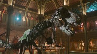 Prehistoric.Planet.S01E04.Ice.Worlds.1080p.ATVP.WEB-DL.DDP5.1.Atmos.H.264-playWEB