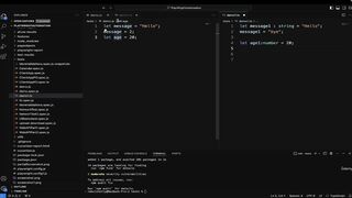 102-Deep_dive_into_TypeScript_type_syntaxes_and_their_usage_1-Playwright JS TS Automation